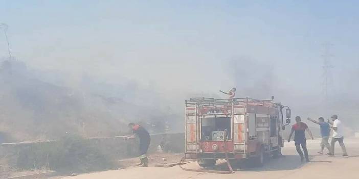 Bodrum'da makilik yangını