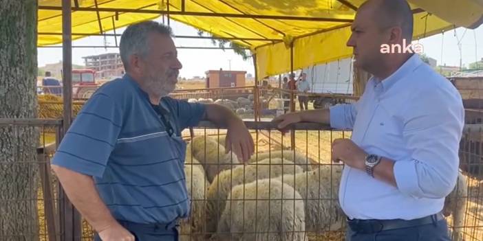 Hayvan pazarındaki besici isyan etti: Batmaya mahkumuz, çalışırken batıyoruz