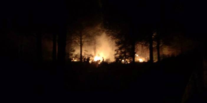 Datça'daki orman yangının nedeni belli oldu