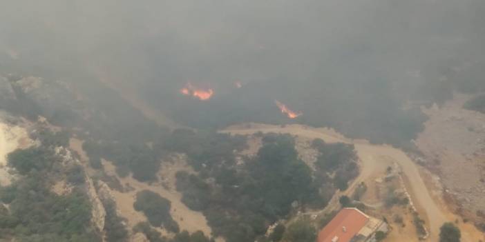 Datça'da orman yangını