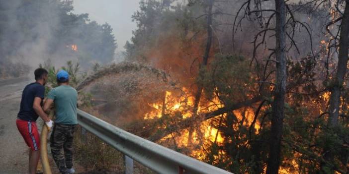 Datça-Hayıtbükü sahil yolu ulaşıma kapatıldı