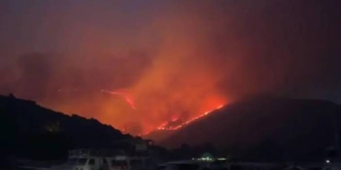 CHP'li Adıgüzel Datça yangını için 'Şu anda bir müdahale yok' dedi