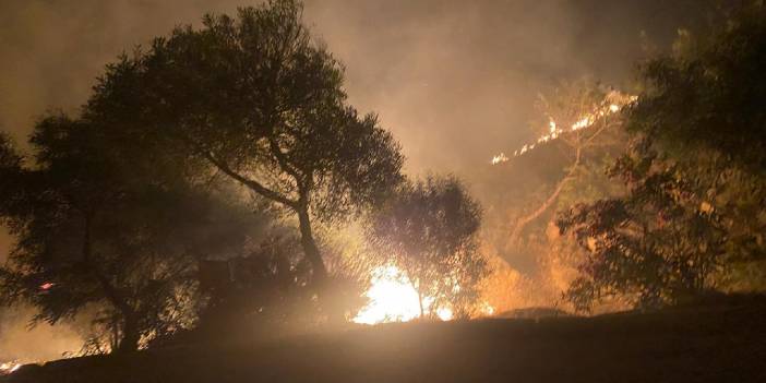 Çeşme'deki yangının sebebi belli oldu! 2 site boşaltıldı