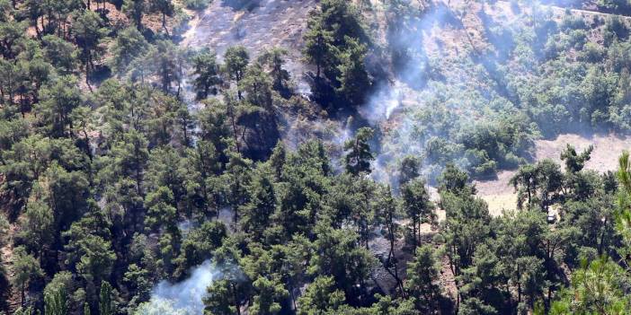 Akhisar'daki orman yangını kontrol altında