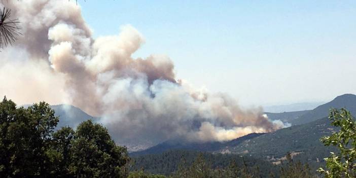 Balıkesir'de orman yangını