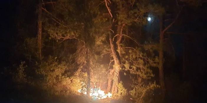 Adana'daki yangınlarda 1 kişi tutuklandı