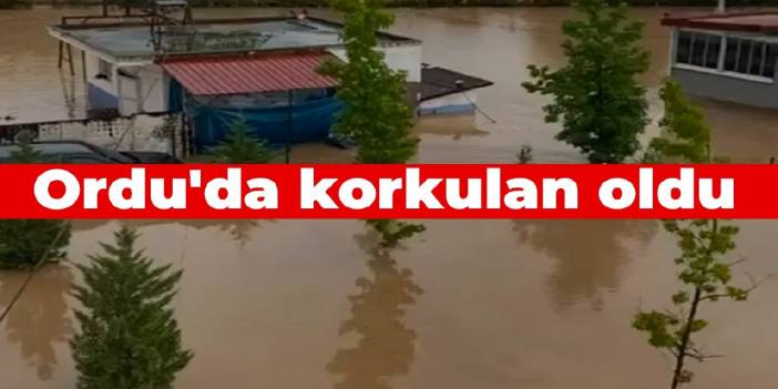 Ordu'da korkulan oldu: Dere taştı, 2 iş yerini ve 10 evi su bastı