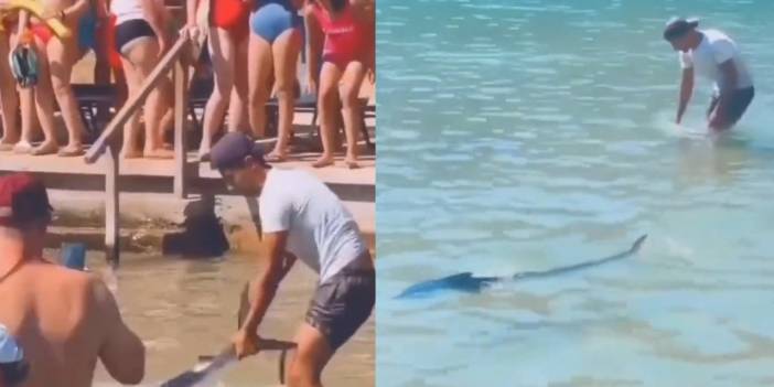 Önce tırmık, şimdi tokat: Zargananın bitmeyen çilesi