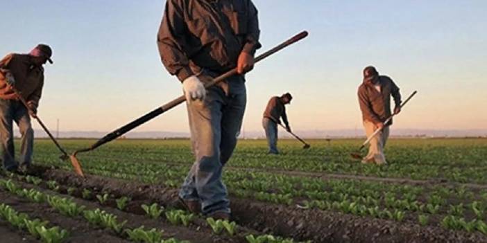 Birleşik Kamu-İş: Çiftçinin enflasyonu yüzde 148