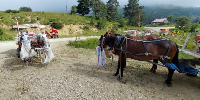 Abant'ta fayton yasaklandı