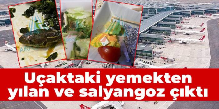 Uçaktaki yemekten yılan ve salyangoz çıktı