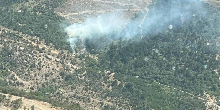 İzmir'de orman yangını: Kontrol altına alındı