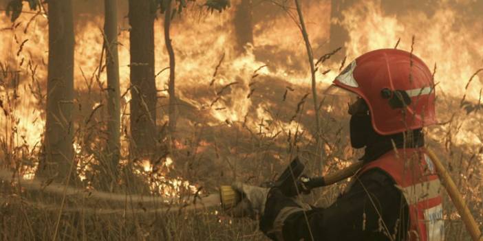 İspanya'daki orman yangınının nedeni ortaya çıktı