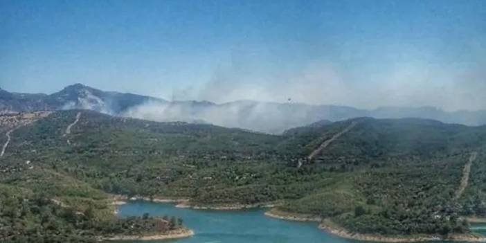 İzmir'de orman yangını