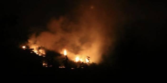 Adana'da orman yangını