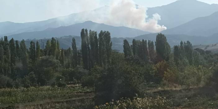 Kütahya'da orman yangını: Köylüler seferber oldu