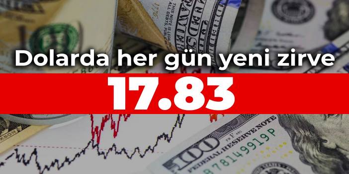 Dolarda her gün yeni zirve 17.83