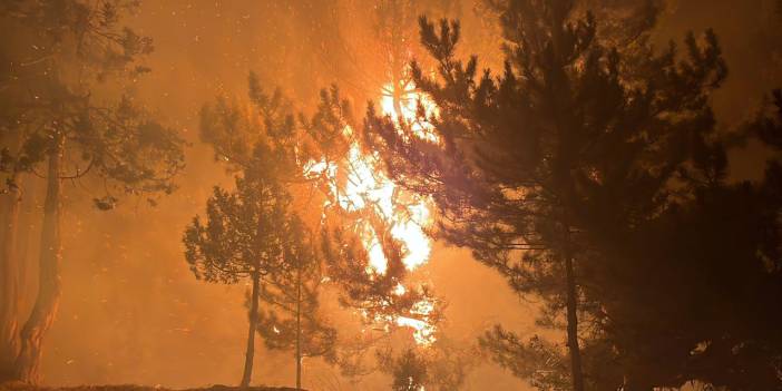 Kütahya'daki yangın kontrol altına alındı