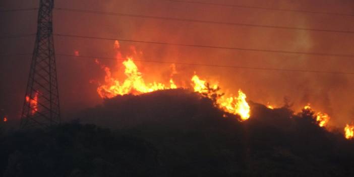 Söke’de orman yangını