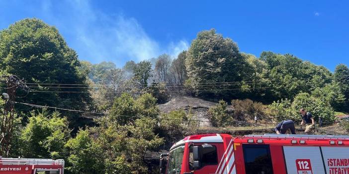 Beykoz'da orman yangını