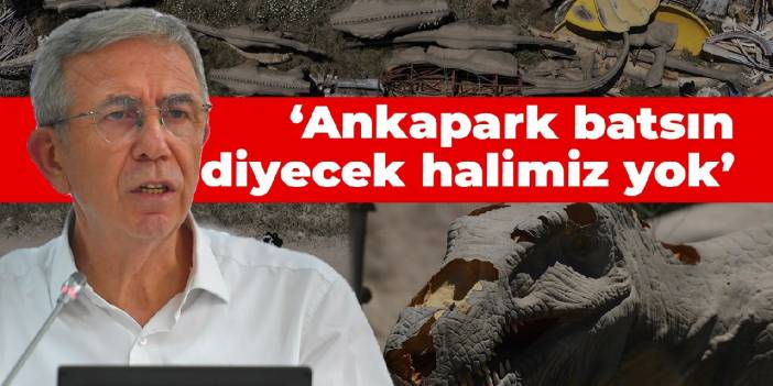 Yavaş: Ankapark batsın diyecek halimiz yok