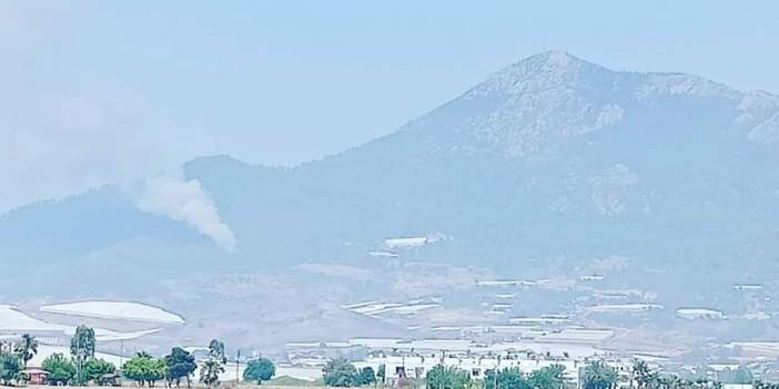 Mersin'de orman yangını