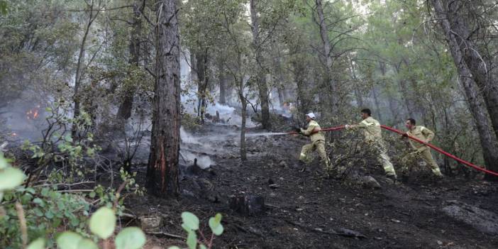 Burdur'daki orman yangını kontrol altında