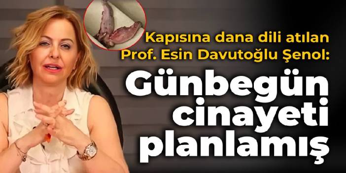 Kapısına dana dili atılan Prof. Esin Davutoğlu Şenol: Günbegün cinayeti planlamış