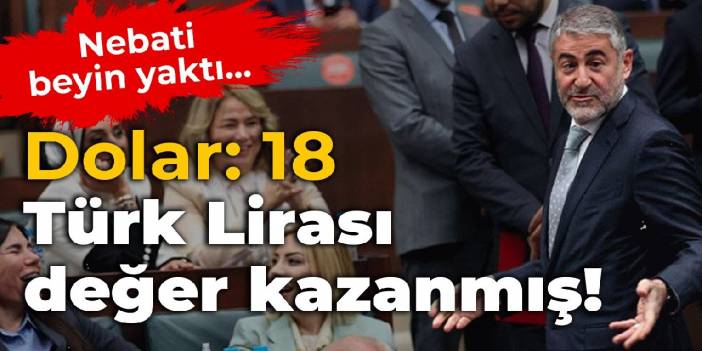 Nebati, beyin yaktı... Dolar 18: Türk Lirası değer kazanmış
