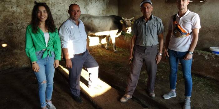 Ahbap, kesimden kaçıp 25 gün sonra yakalanan kurbanlığı satın aldı: Barınağa gönderildi