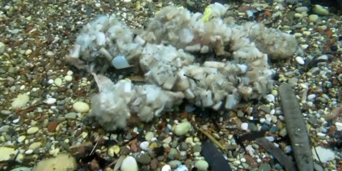 Akdeniz 'izmarit denizi'ne döndü: Ekosistem tehlikede