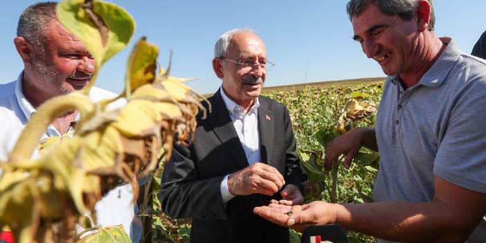 Kılıçdaroğlu: Ayçiçek fiyatı ton başına 16 bin TL olmalı