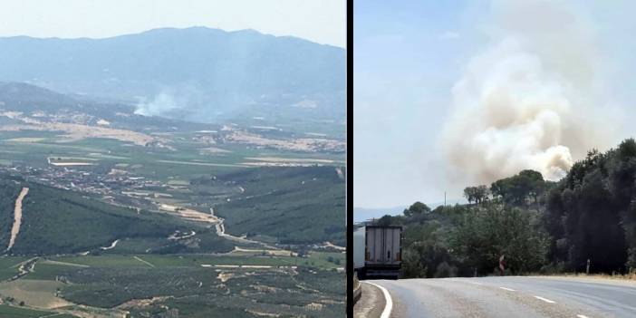 Manisa'nın 2 ilçesinde orman yangını