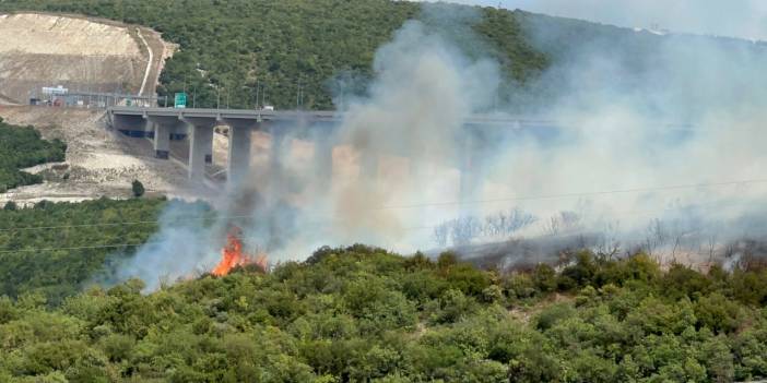 Gebze'de orman yangını