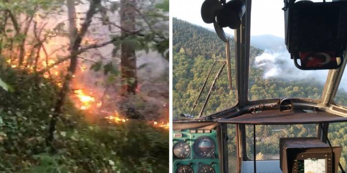 Uludağ eteklerinde orman yangını