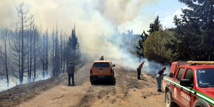Buca'da orman yangını