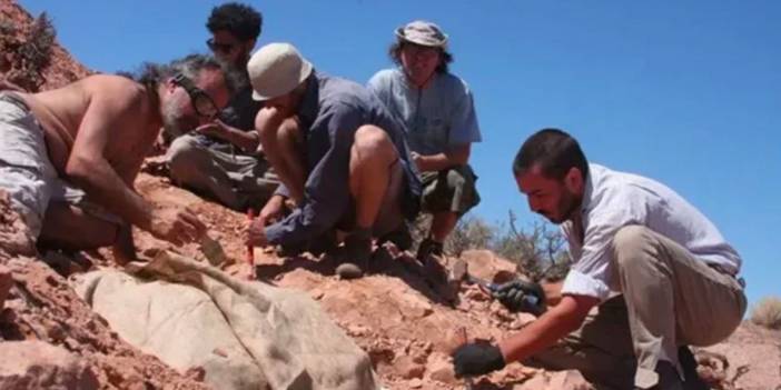 Exciting discovery in Argentina: Dinosaur fossil dating back 100 million years