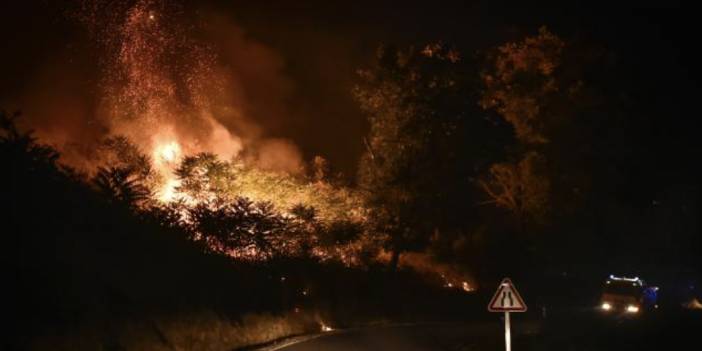 Portekiz'deki orman yangını: 15 bin hektar alan kül oldu