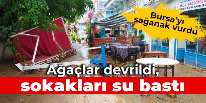 Bursa'yı sağanak vurdu: Ağaçlar devrildi, sokakları su bastı