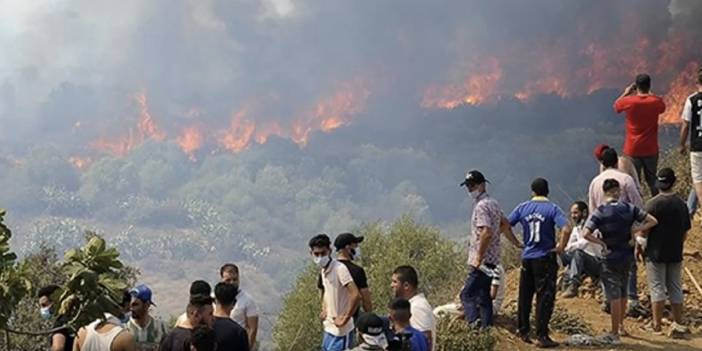 Cezayir’deki orman yangınlarında can kaybı 41’e yükseldi