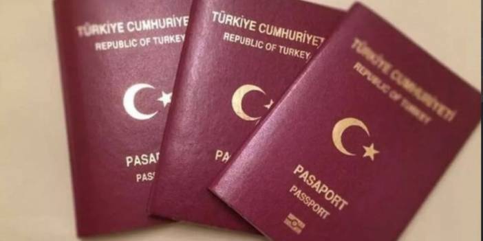 Pasaporta rekor zam yolda