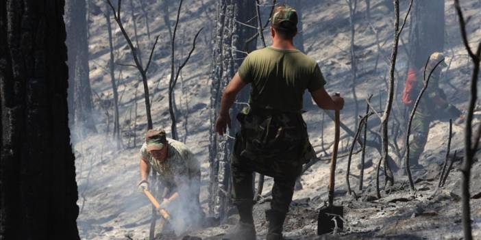 Azerbaycan'da 5 bin hektar arazi yandı