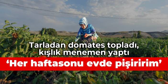 Emine Erdoğan tarladan domates topladı, kışlık menemen yaptı: Her hafta sonu evde pişiririm