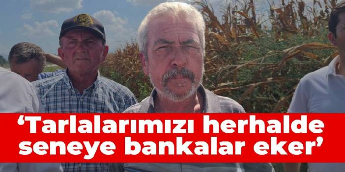 Osmaniyeli çiftçi: Tarlalarımızı herhalde seneye bankalar eker