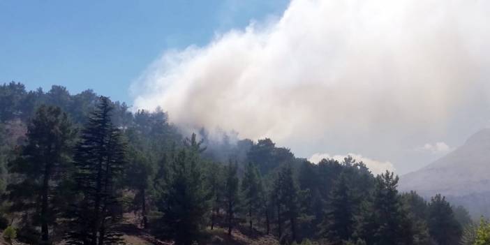 Kaş'ta orman yangını