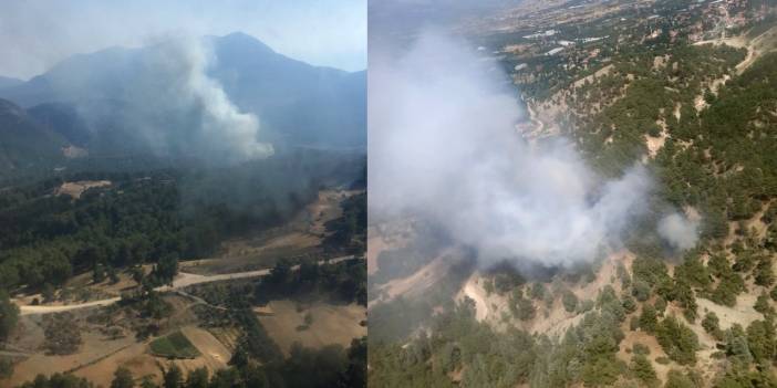 Kaş'ta orman yangını
