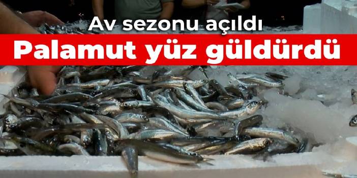 Av sezonu açıldı: İlk hamsi Marmara'dan, palamut ise yüz güldürdü