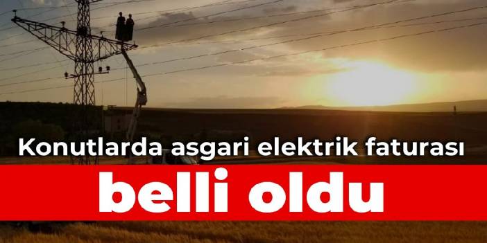 Konutlarda asgari elektrik faturası belli oldu
