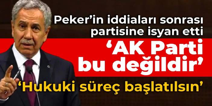 Peker'in iddiaları sonrası Arınç partisine isyan etti