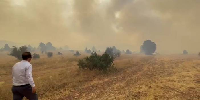 Erzincan'da orman yangını